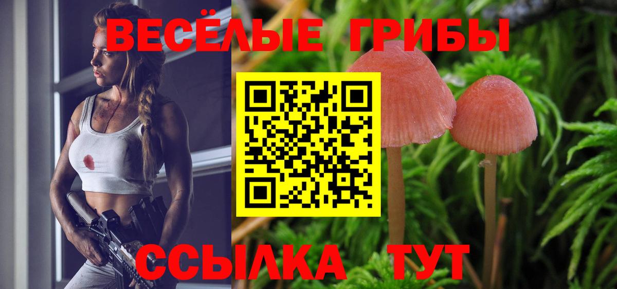 Псилоцибиновые грибы Psilocybine cubensis Луховицы