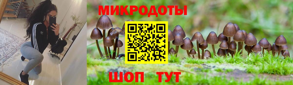 Луховицы  Псилоцибиновые грибы мицелий  Вход с VPN  Галлюциногенные грибы мицелий 